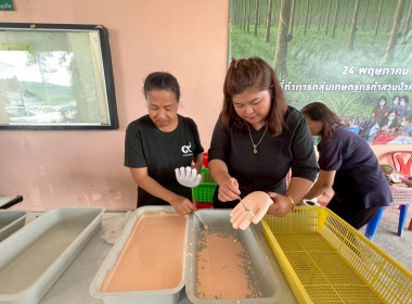 เข้าร่วมสังเกตการณ์ อบรมเชิงปฎิบัติการ ... พารามิเตอร์รูปภาพ 22